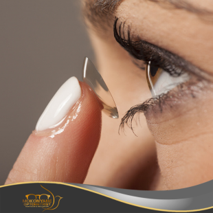 Contact Lenses